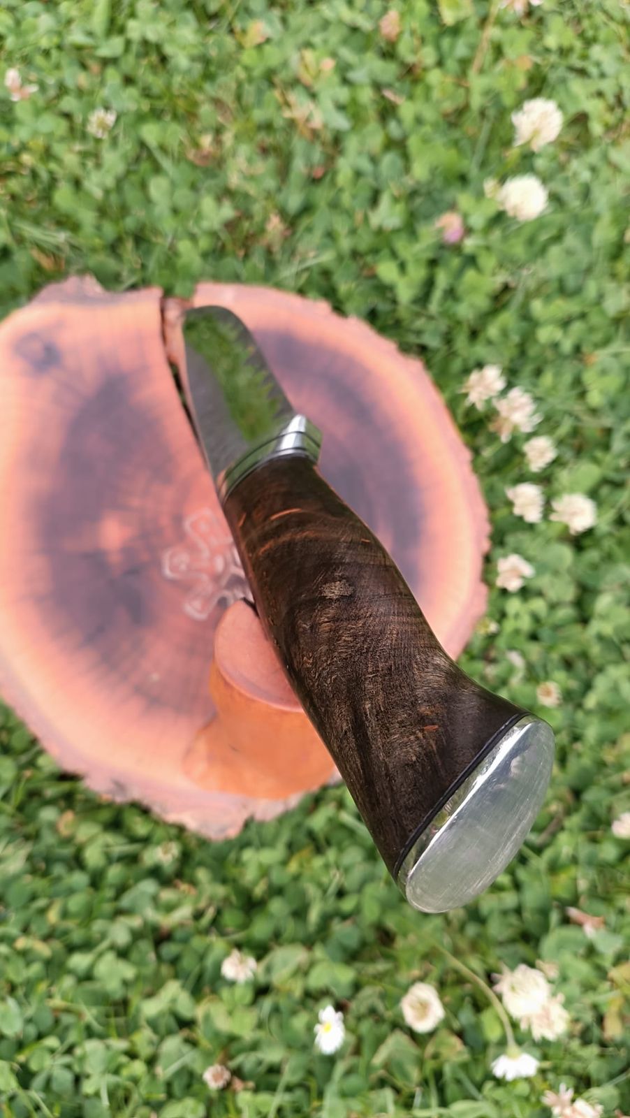 WILD ROOT – Walnut #011 handmade knife