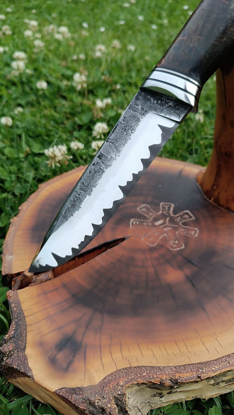 WILD ROOT – Walnut handmade knife – photo 3